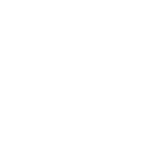 AENRO Logo